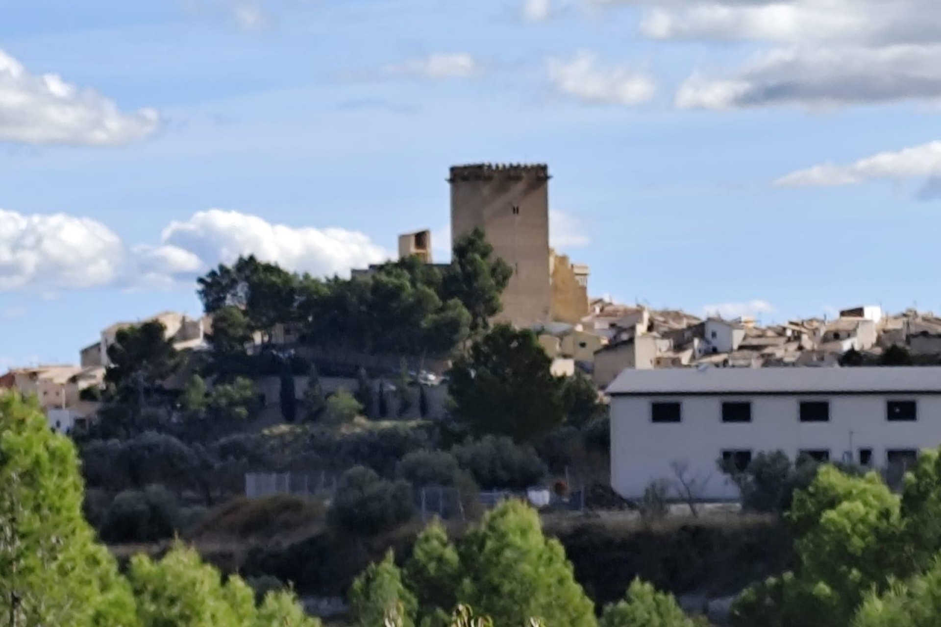 Sprzedaż - Działka Grunt -
Moratalla