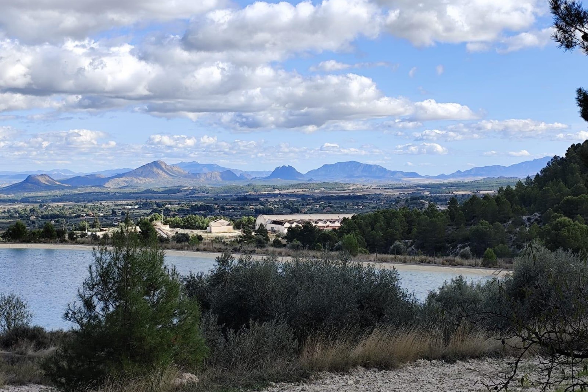 Sprzedaż - Działka Grunt -
Moratalla