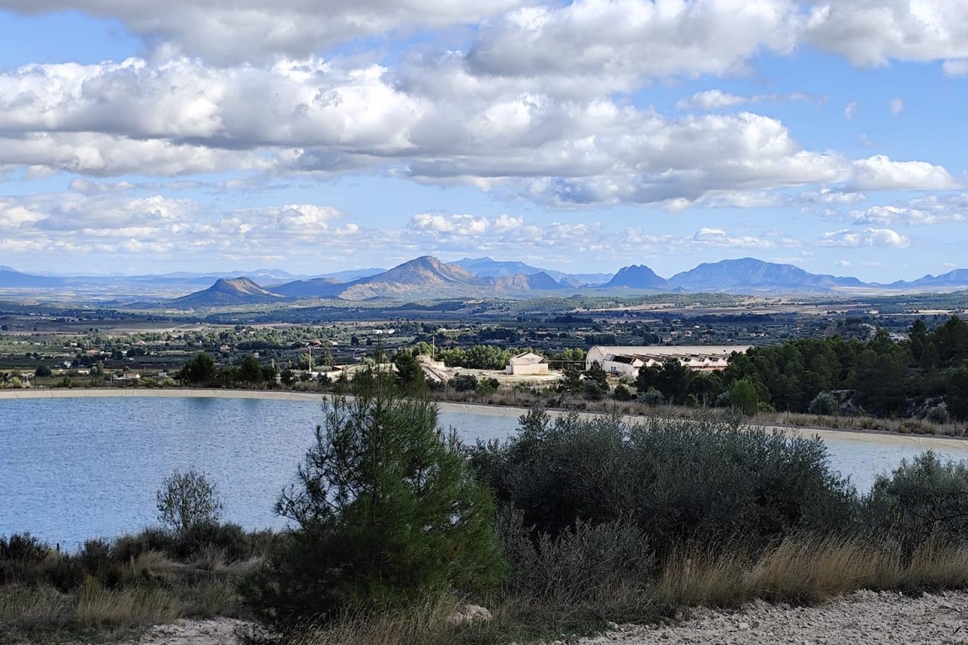 Sprzedaż - Działka Grunt -
Moratalla