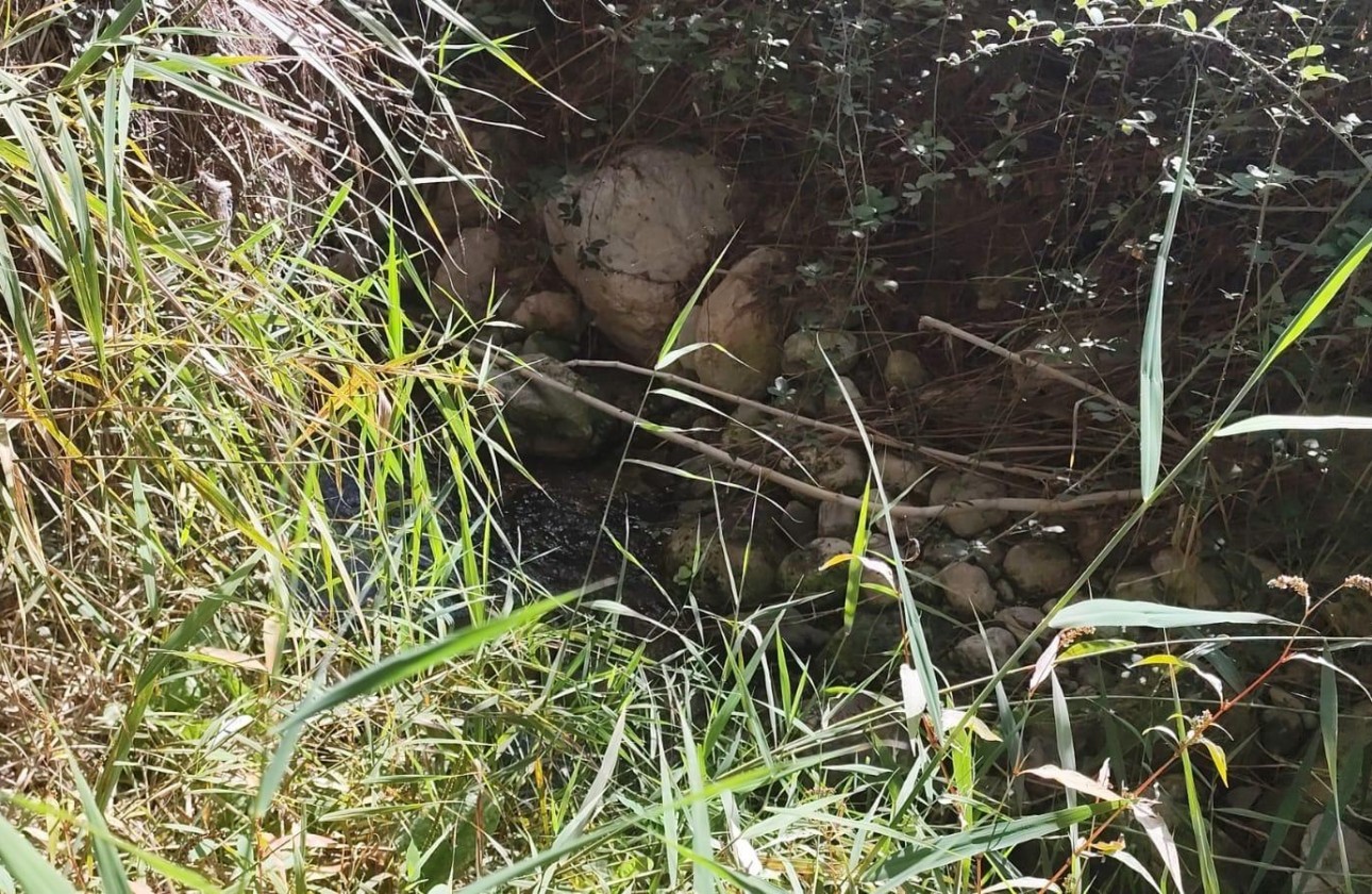 Sprzedaż - Działka Grunt -
Moratalla