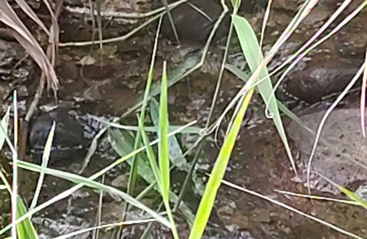 Sprzedaż - Działka Grunt -
Moratalla