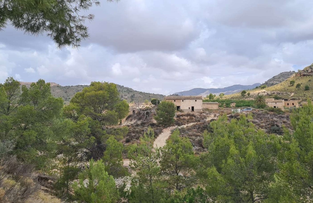 Sprzedaż - Działka / Grunt -
Murcia - Abanilla