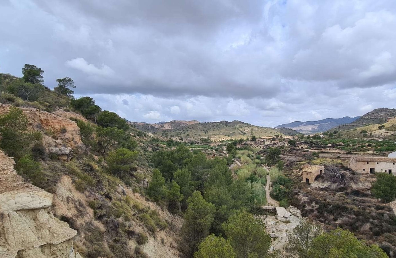 Sprzedaż - Działka / Grunt -
Murcia - Abanilla