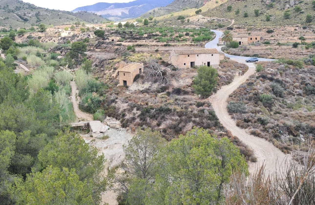 Sprzedaż - Działka / Grunt -
Murcia - Abanilla