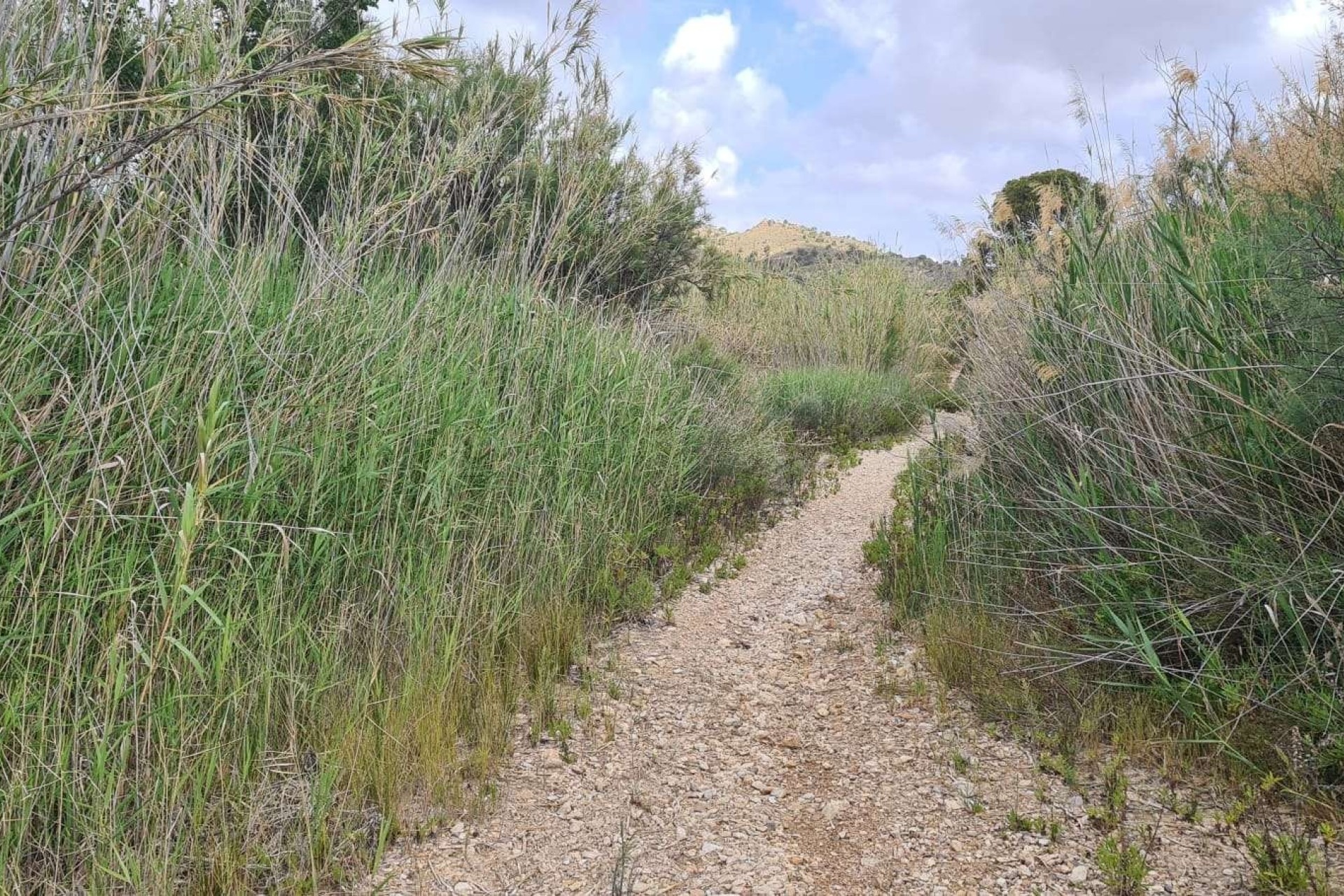 Sprzedaż - Działka / Grunt -
Murcia - Abanilla