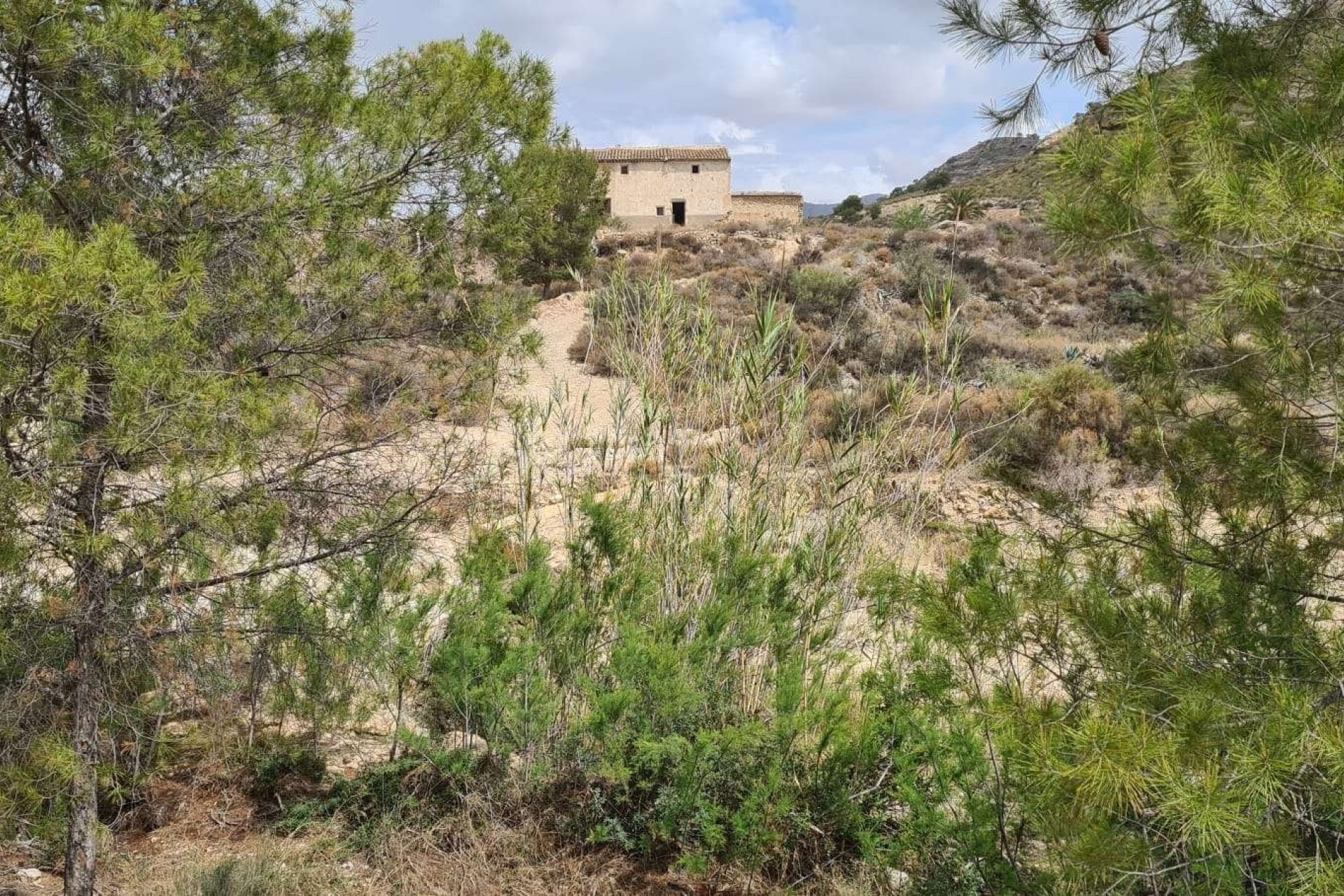 Sprzedaż - Działka / Grunt -
Murcia - Abanilla