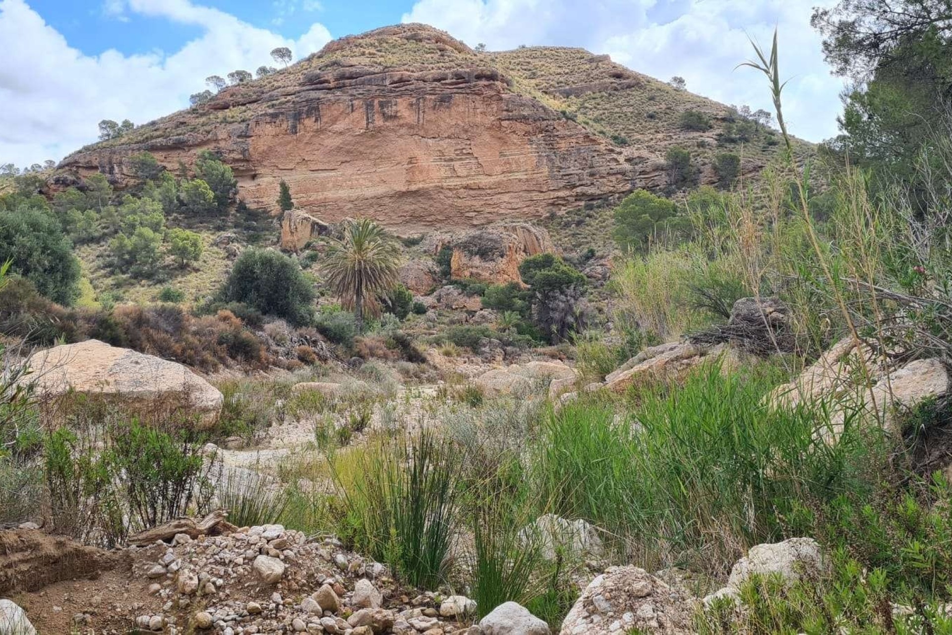 Sprzedaż - Działka / Grunt -
Murcia - Abanilla