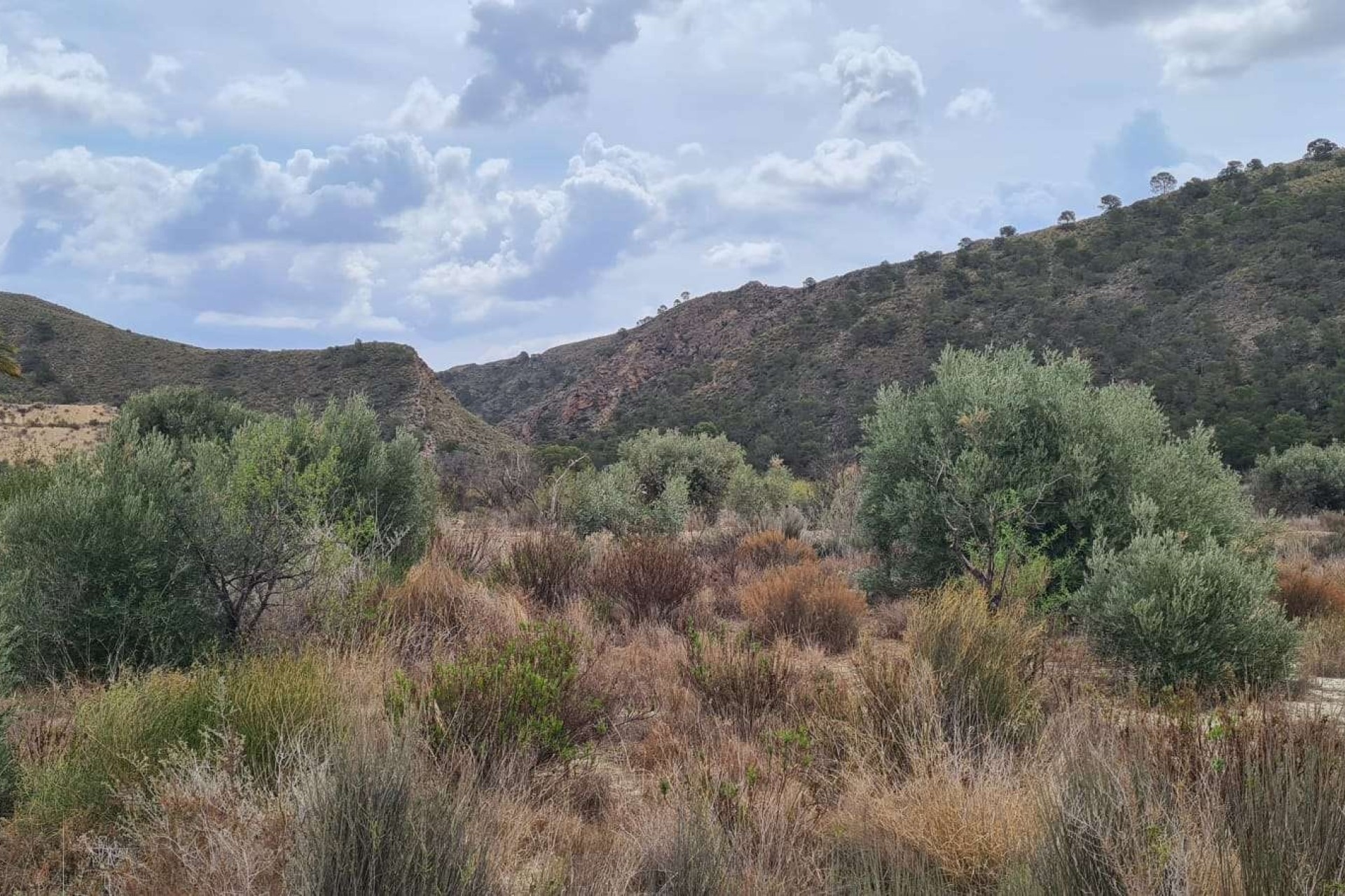 Sprzedaż - Działka / Grunt -
Murcia - Abanilla