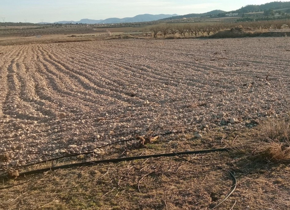 Sprzedaż - Działka Grunt -
Salinas