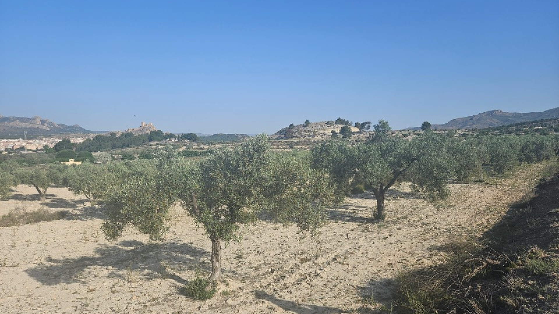 Sprzedaż - Działka Grunt -
SAX