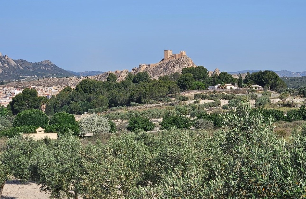 Sprzedaż - Działka / Grunt -
SAX