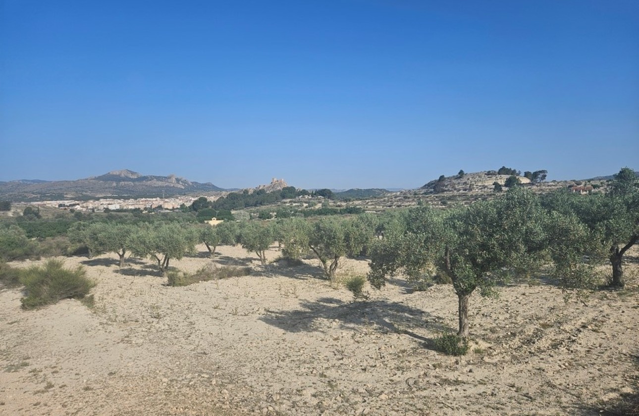 Sprzedaż - Działka / Grunt -
SAX