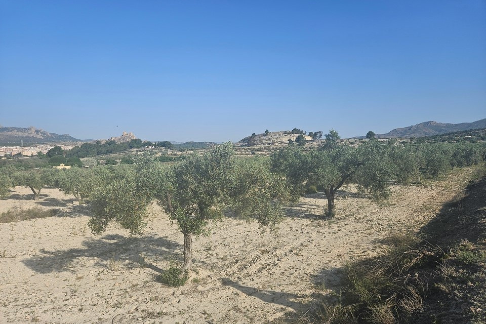 Sprzedaż - Działka / Grunt -
SAX