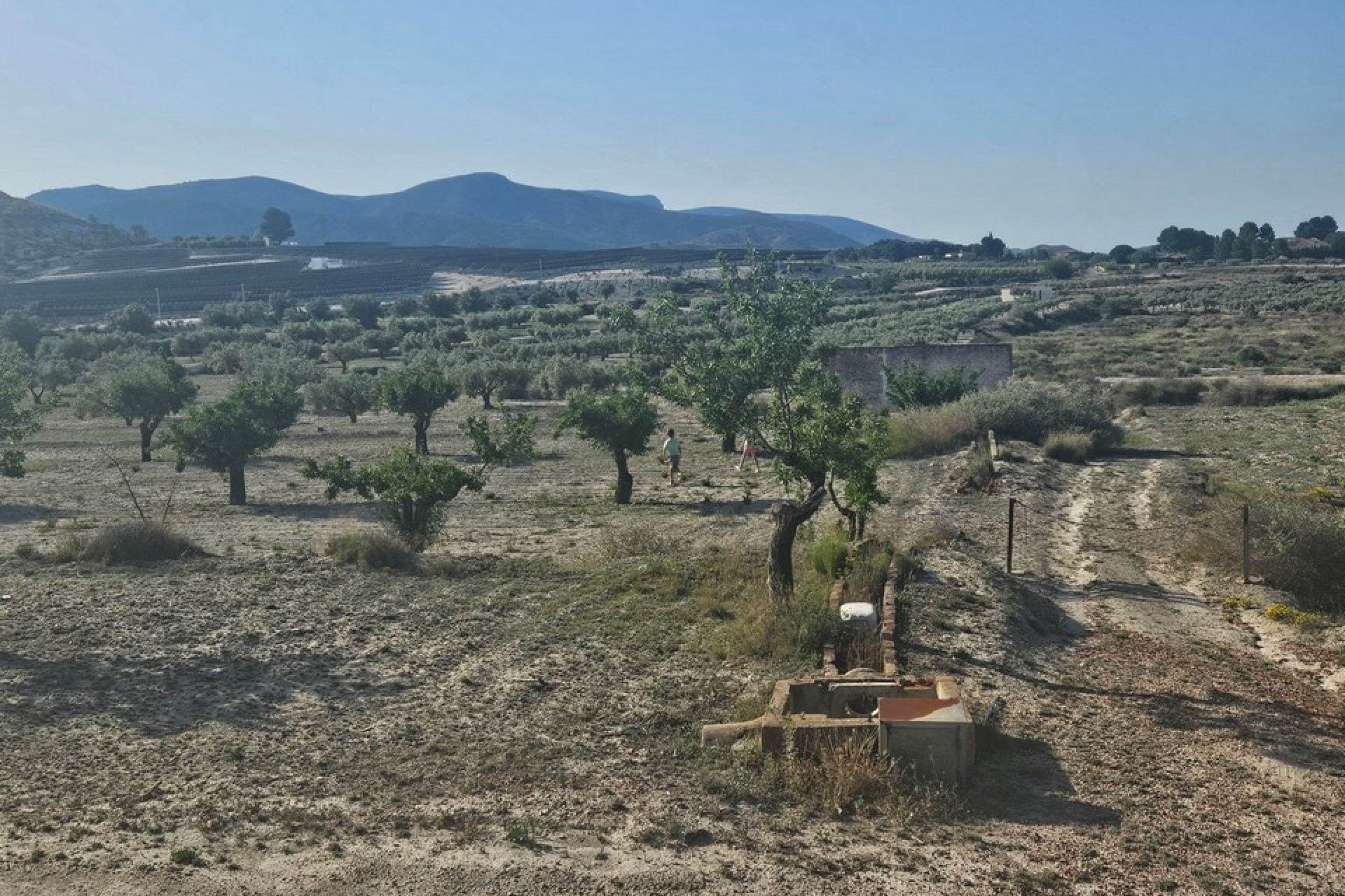 Sprzedaż - Działka / Grunt -
SAX