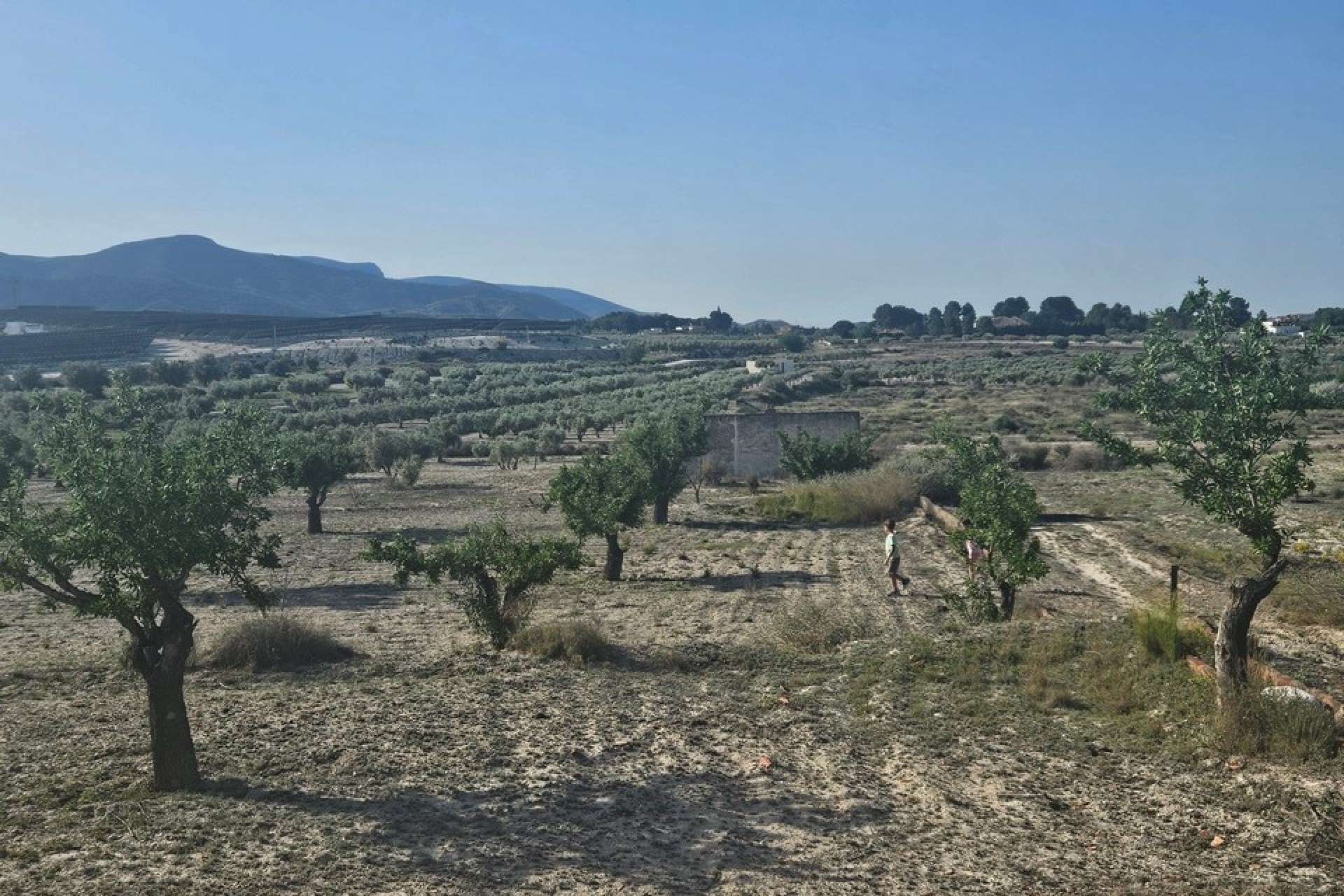 Sprzedaż - Działka / Grunt -
SAX