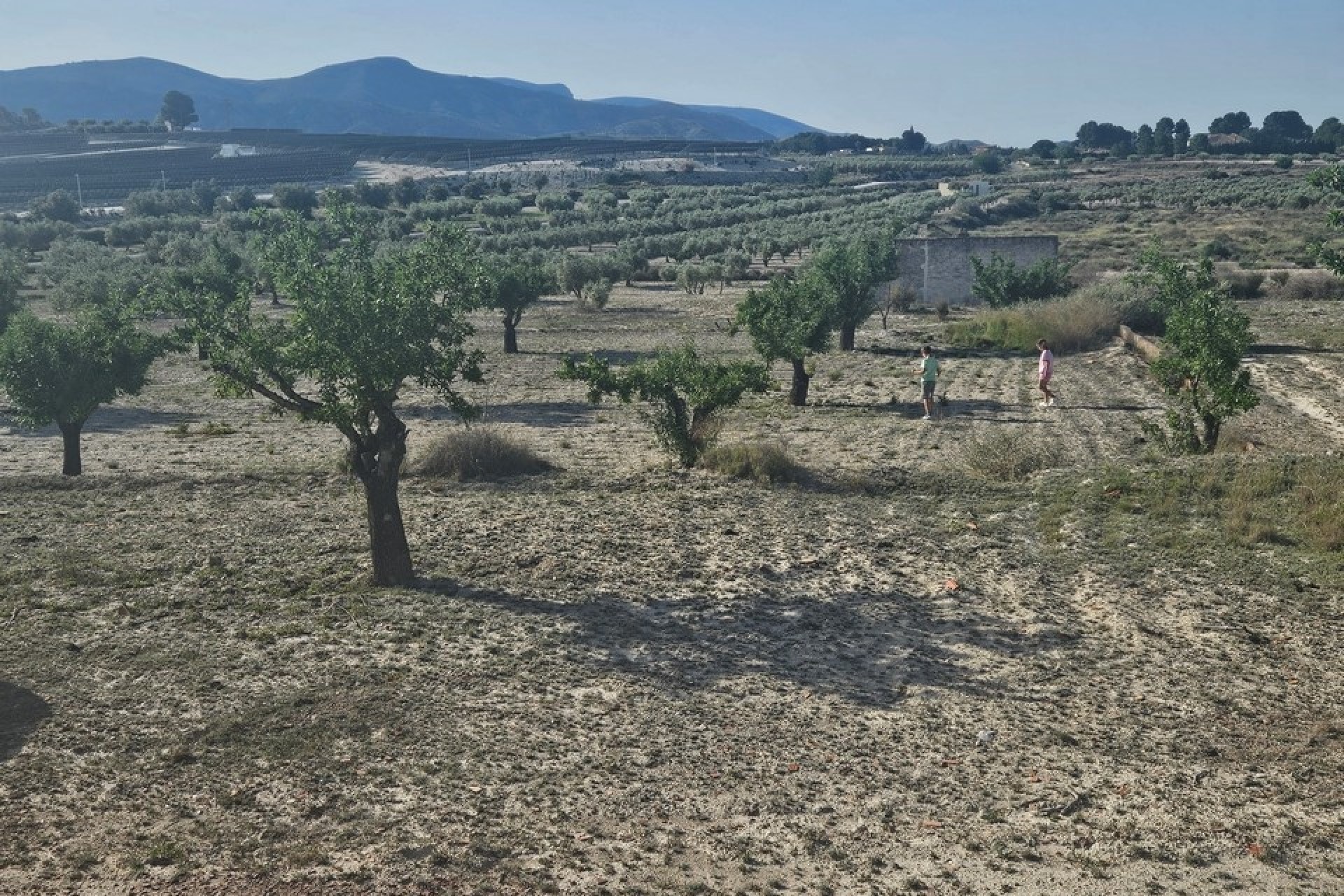 Sprzedaż - Działka / Grunt -
SAX