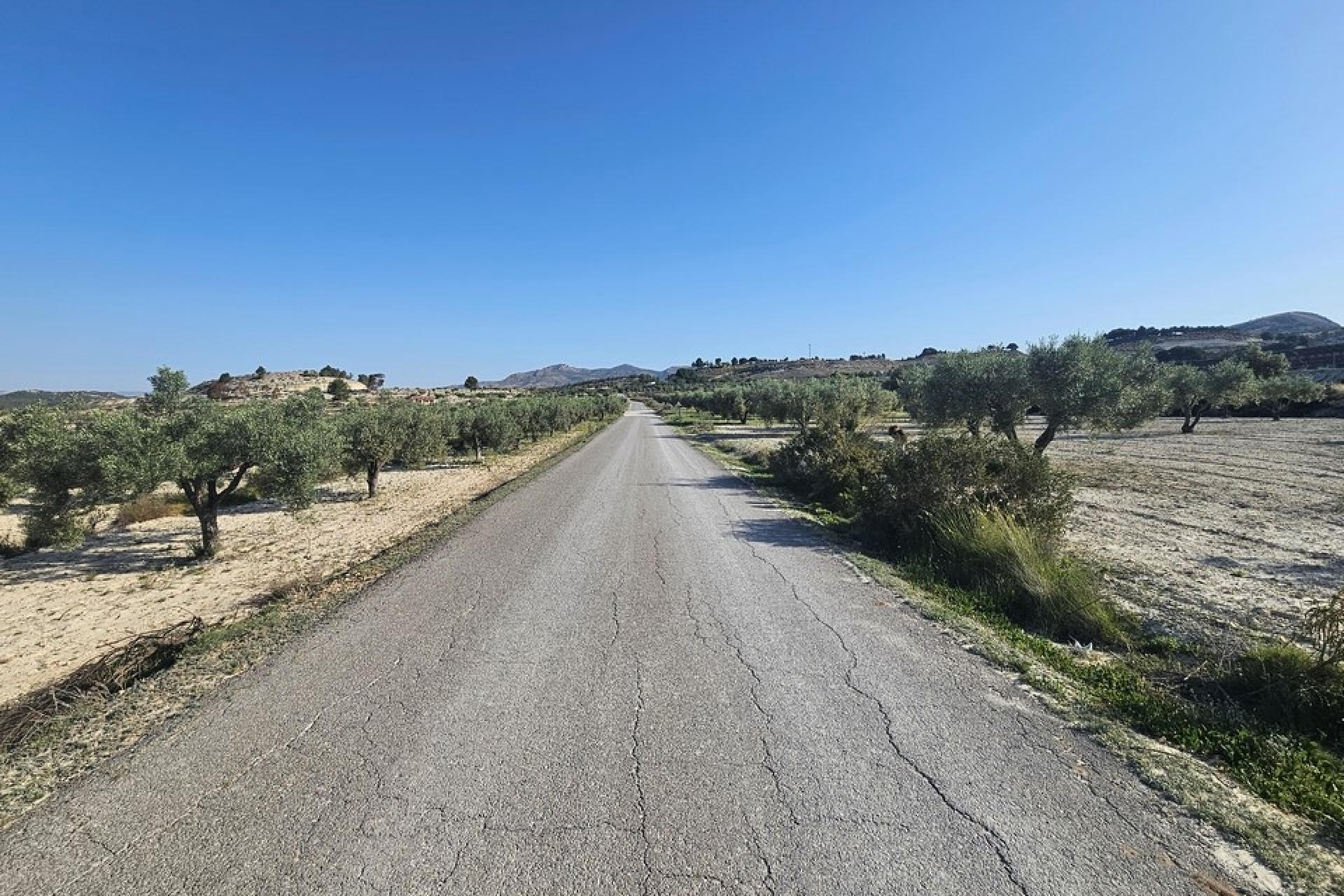 Sprzedaż - Działka / Grunt -
SAX