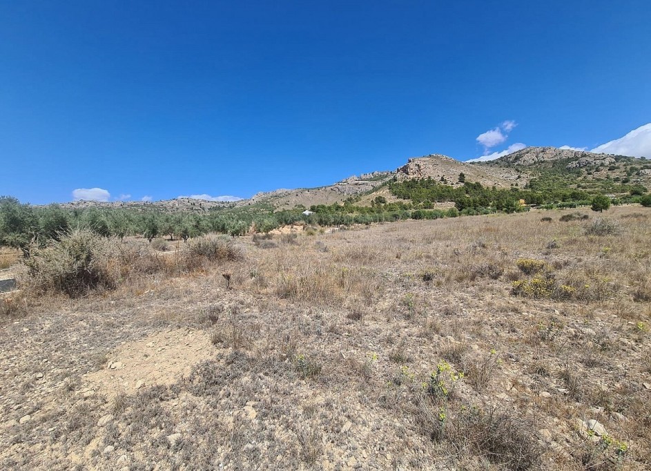 Sprzedaż - Działka Grunt -
SAX