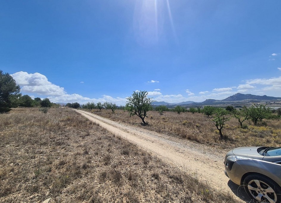 Sprzedaż - Działka Grunt -
SAX