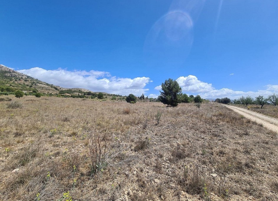 Sprzedaż - Działka Grunt -
SAX