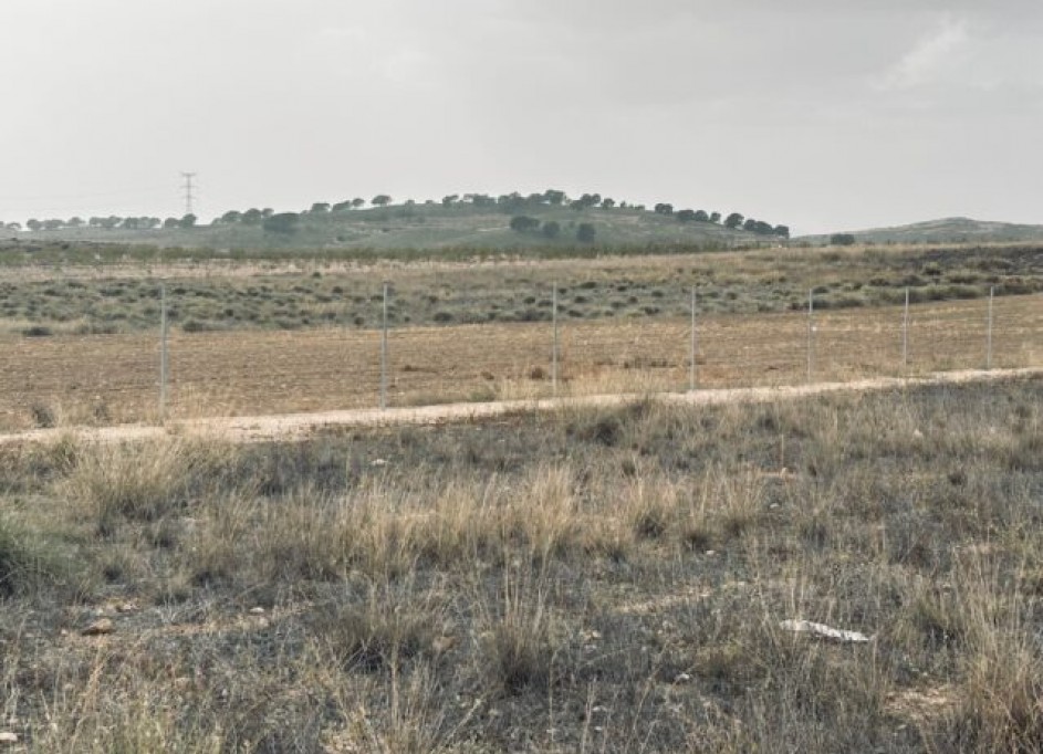 Sprzedaż - Działka Grunt -
Torre del Rico