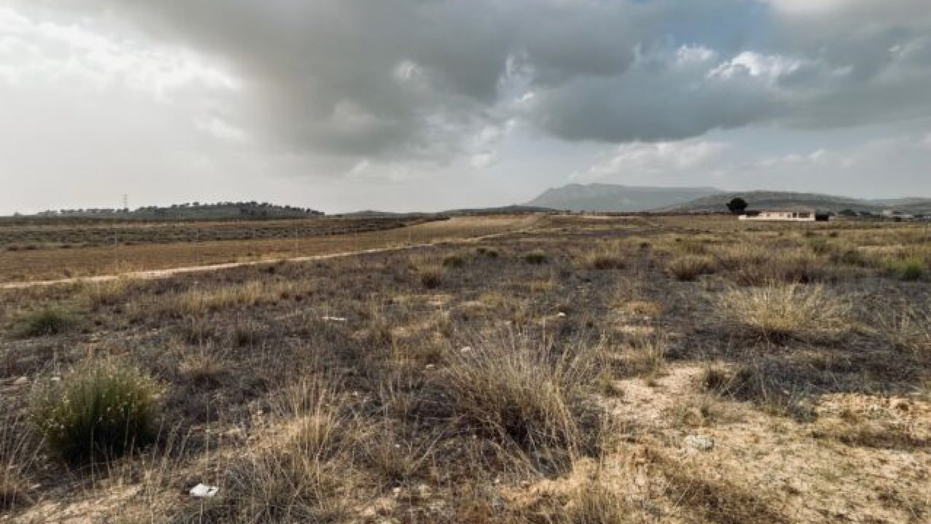 Sprzedaż - Działka Grunt -
Torre del Rico