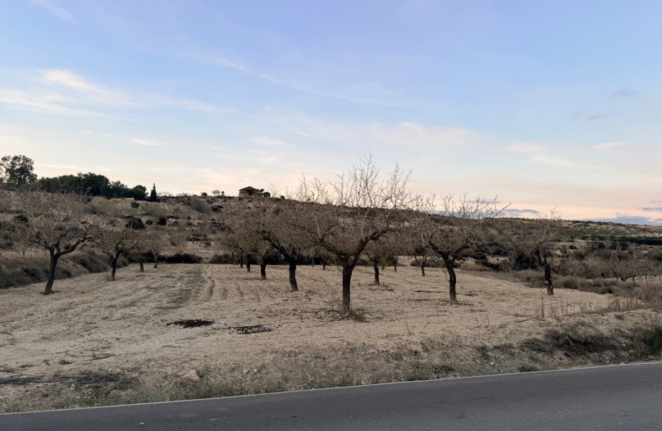 Sprzedaż - Działka / Grunt -
Torremendo - Costa Blanca