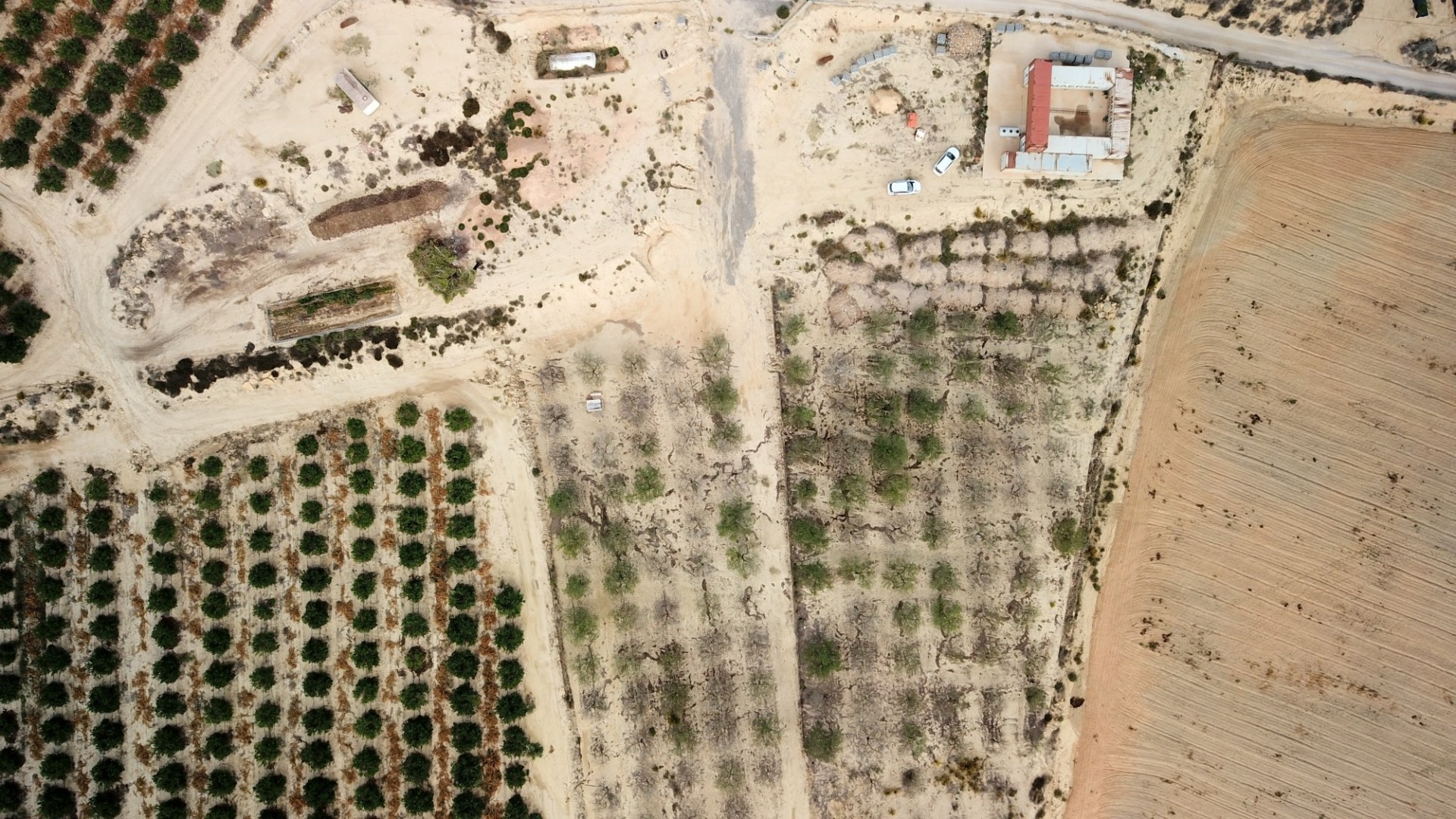 Sprzedaż - Działka Grunt -
Torremendo - Torremendo - Country