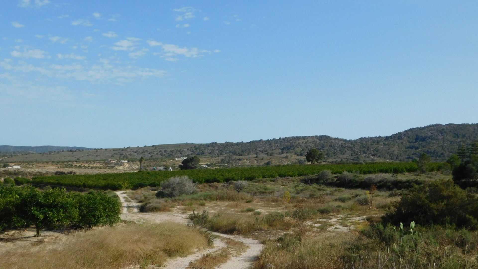 Sprzedaż - Działka Grunt -
Torremendo