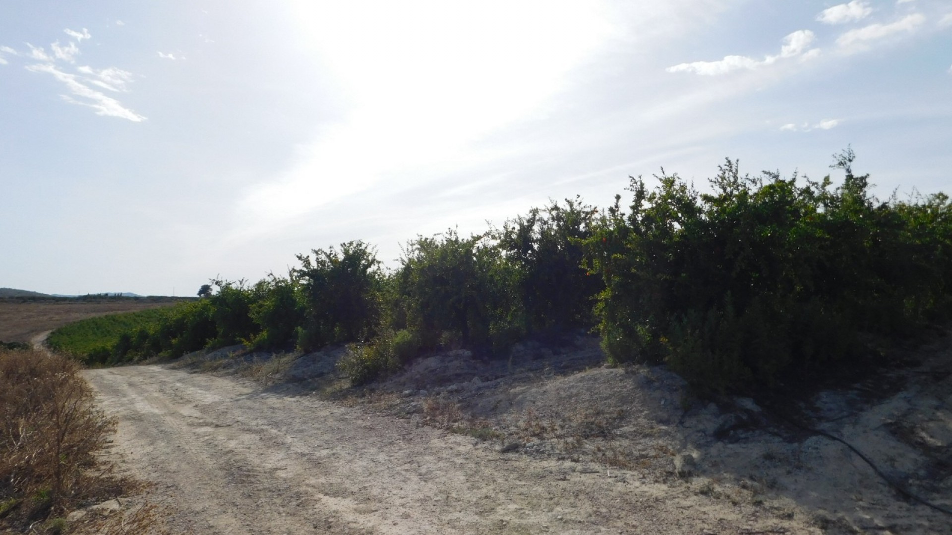 Sprzedaż - Działka Grunt -
Torremendo