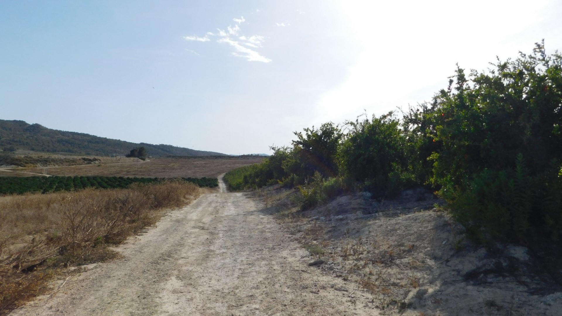 Sprzedaż - Działka Grunt -
Torremendo