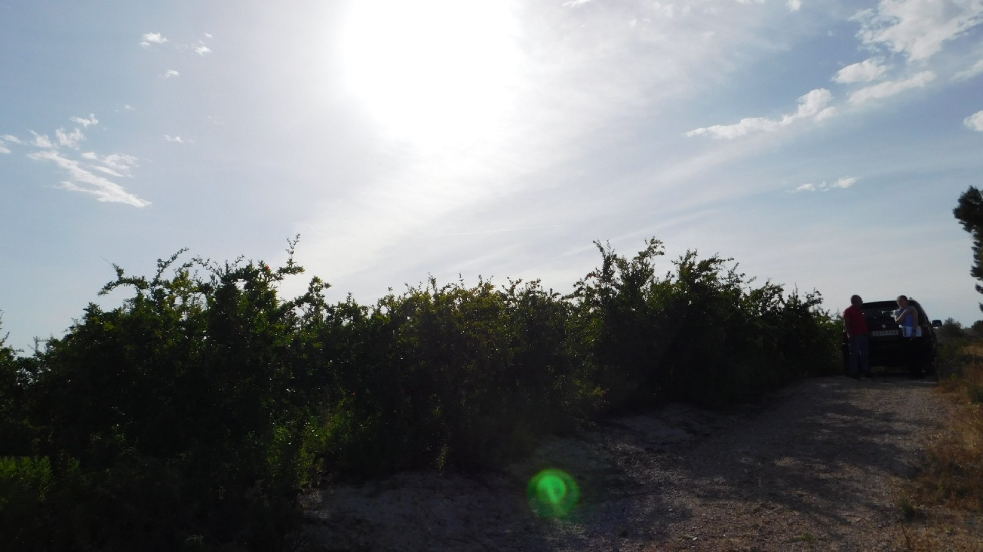 Sprzedaż - Działka Grunt -
Torremendo