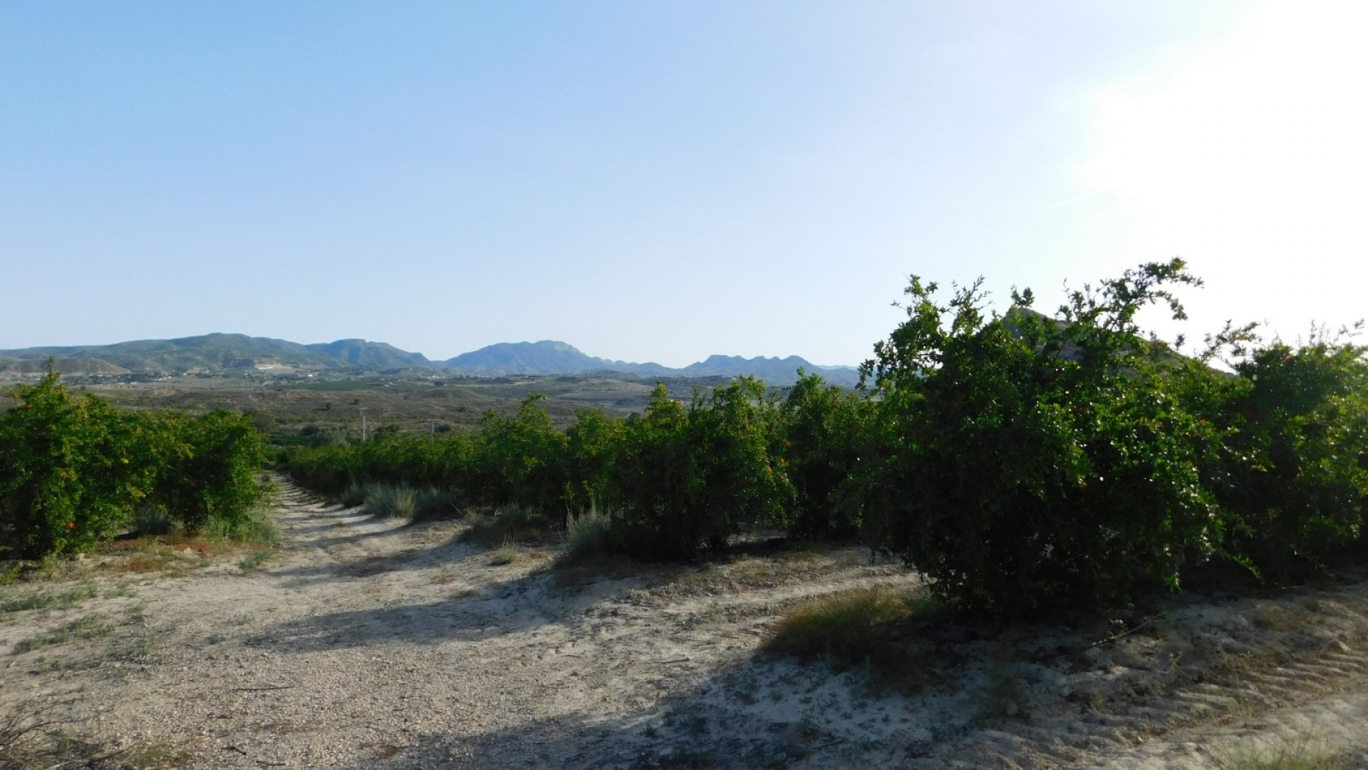 Sprzedaż - Działka Grunt -
Torremendo