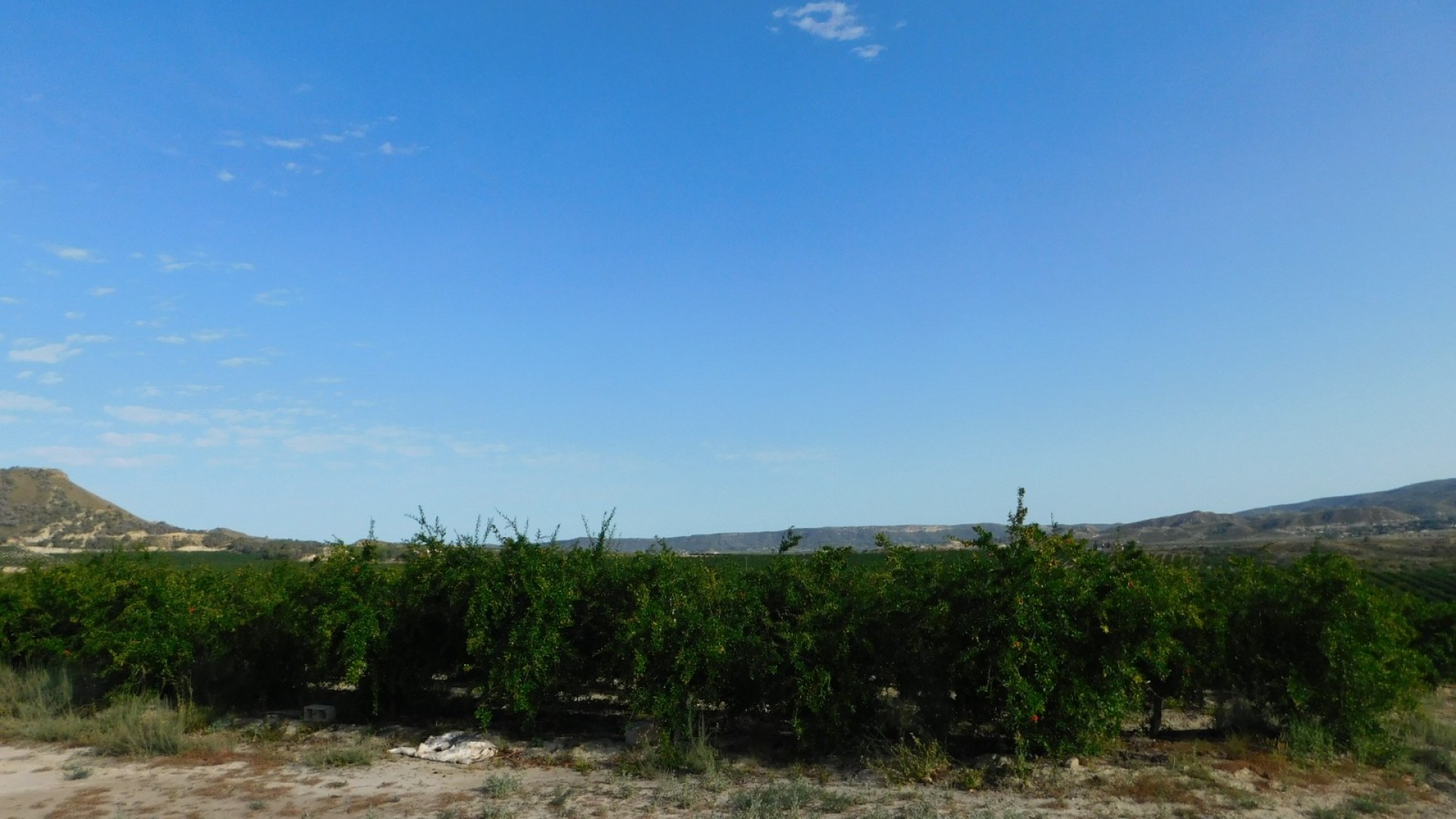 Sprzedaż - Działka Grunt -
Torremendo