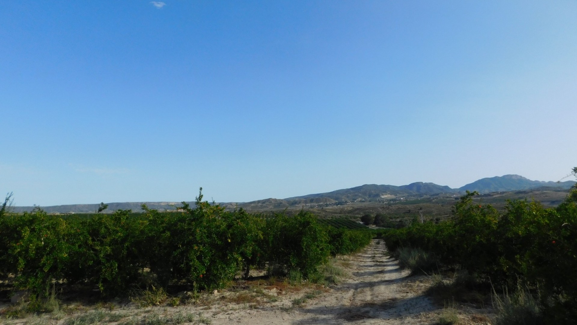 Sprzedaż - Działka Grunt -
Torremendo