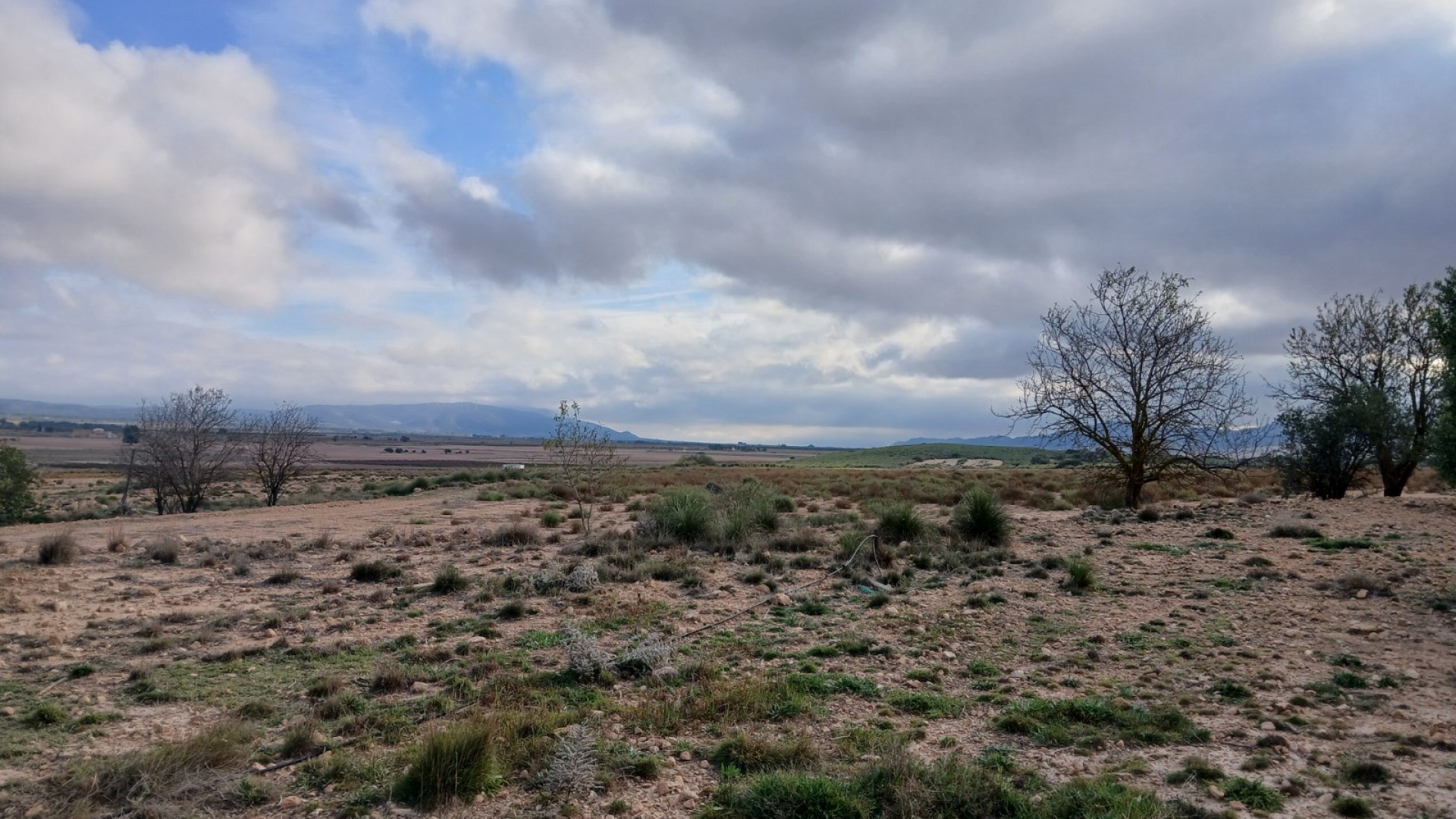 Sprzedaż - Działka Grunt -
Yecla