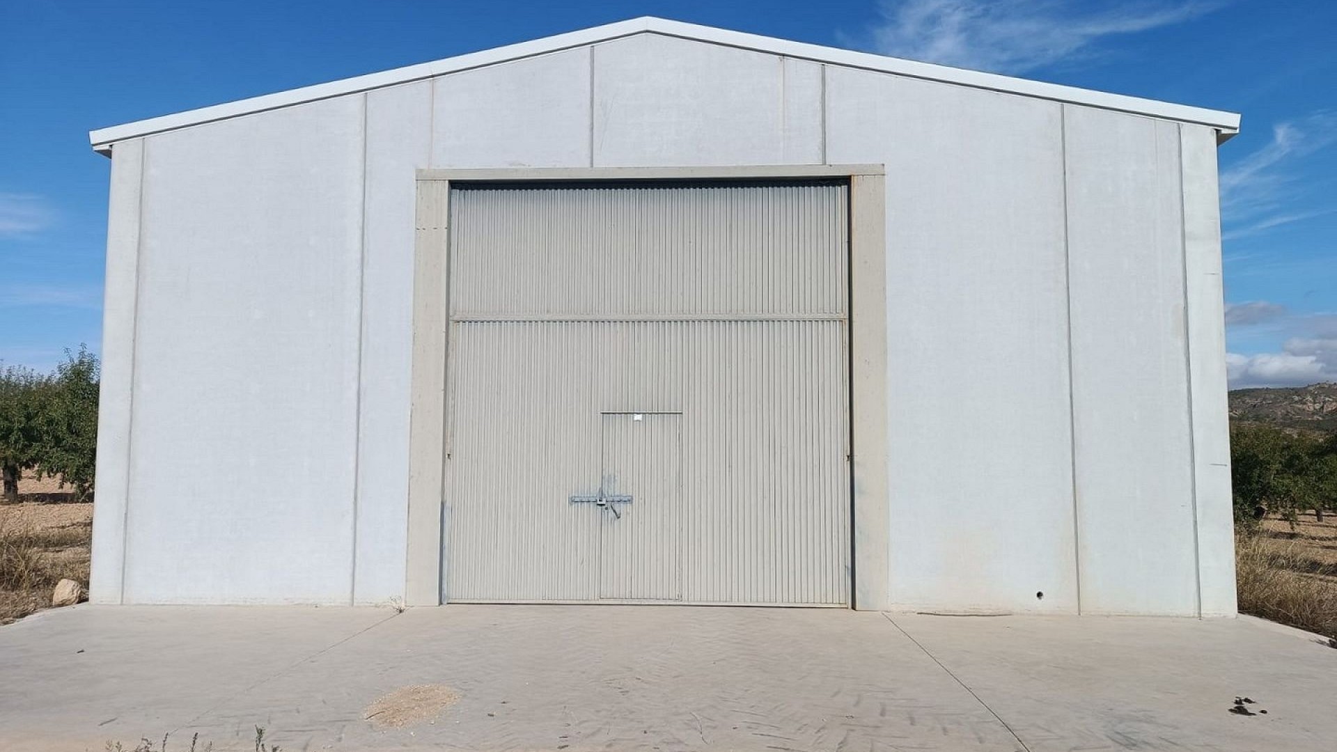 Sprzedaż - Działka Grunt -
Yecla