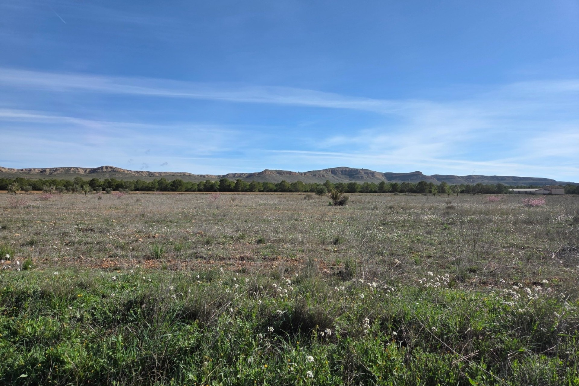 Sprzedaż - Działka / Grunt -
Yecla