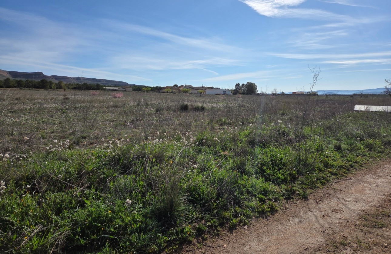 Sprzedaż - Działka / Grunt -
Yecla