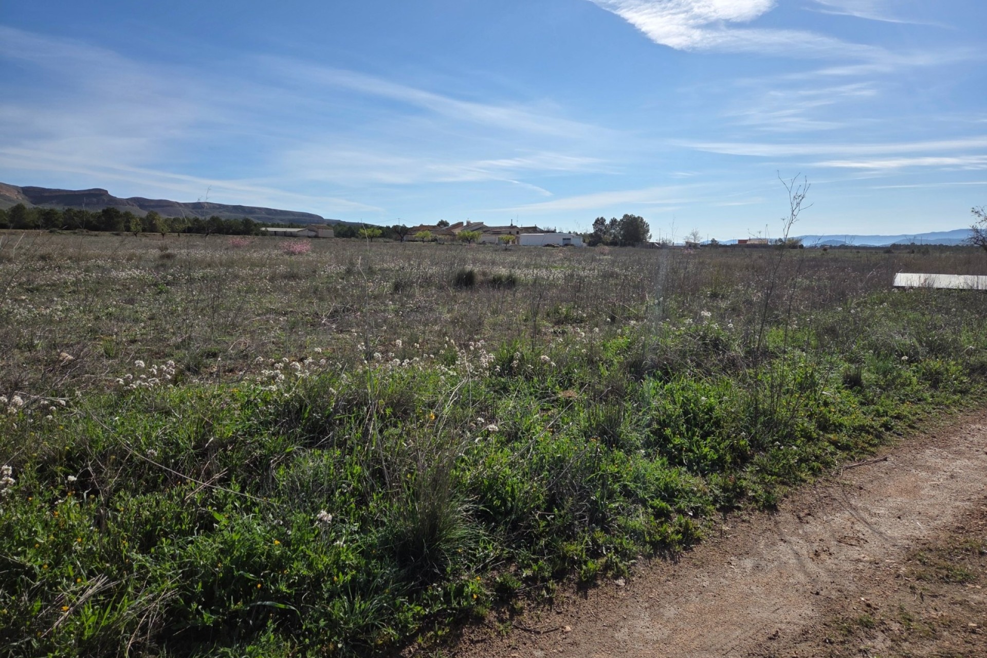 Sprzedaż - Działka / Grunt -
Yecla