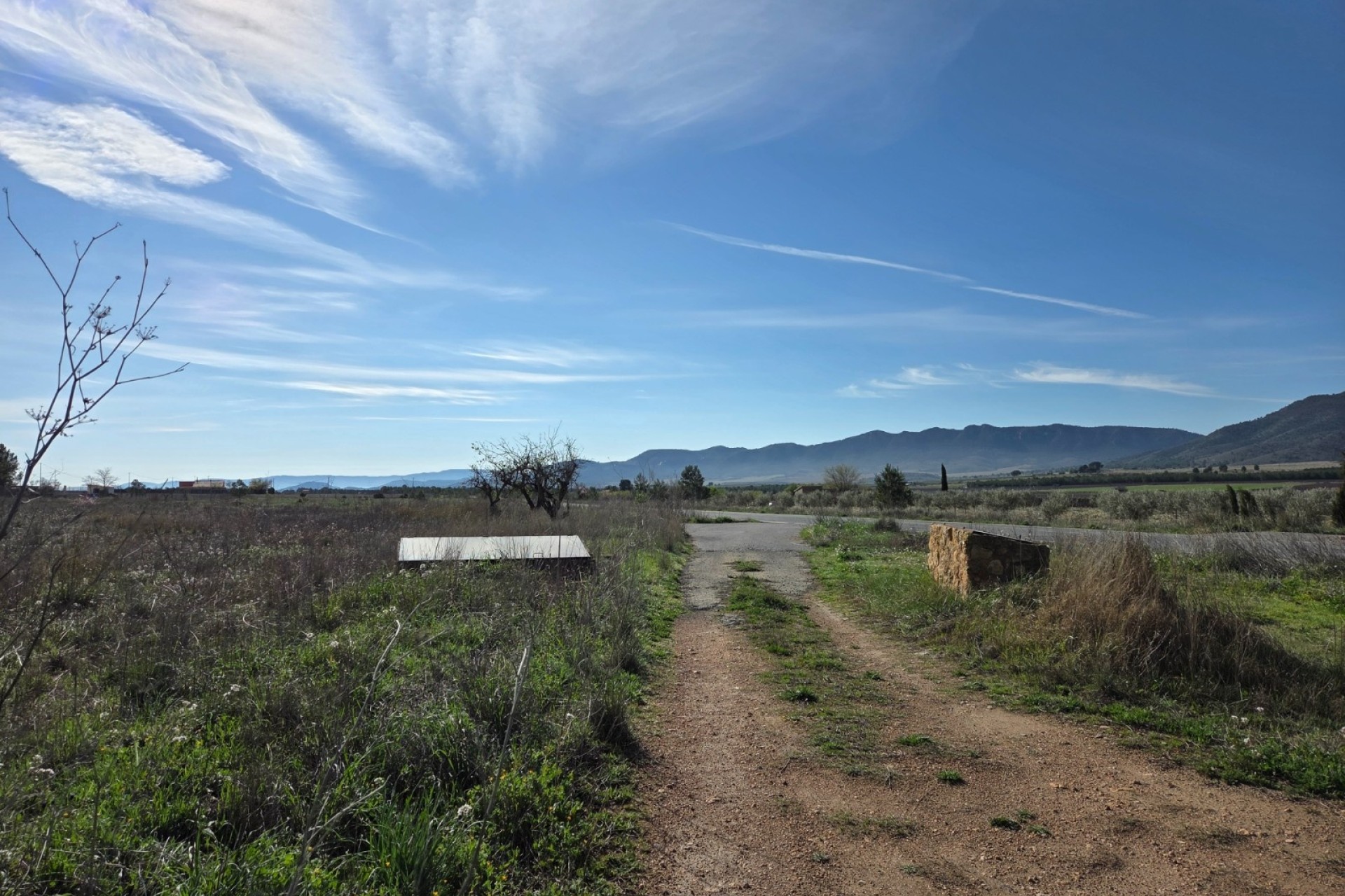 Sprzedaż - Działka / Grunt -
Yecla