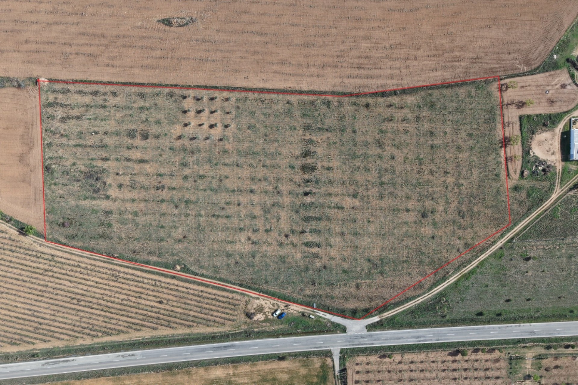 Sprzedaż - Działka / Grunt -
Yecla