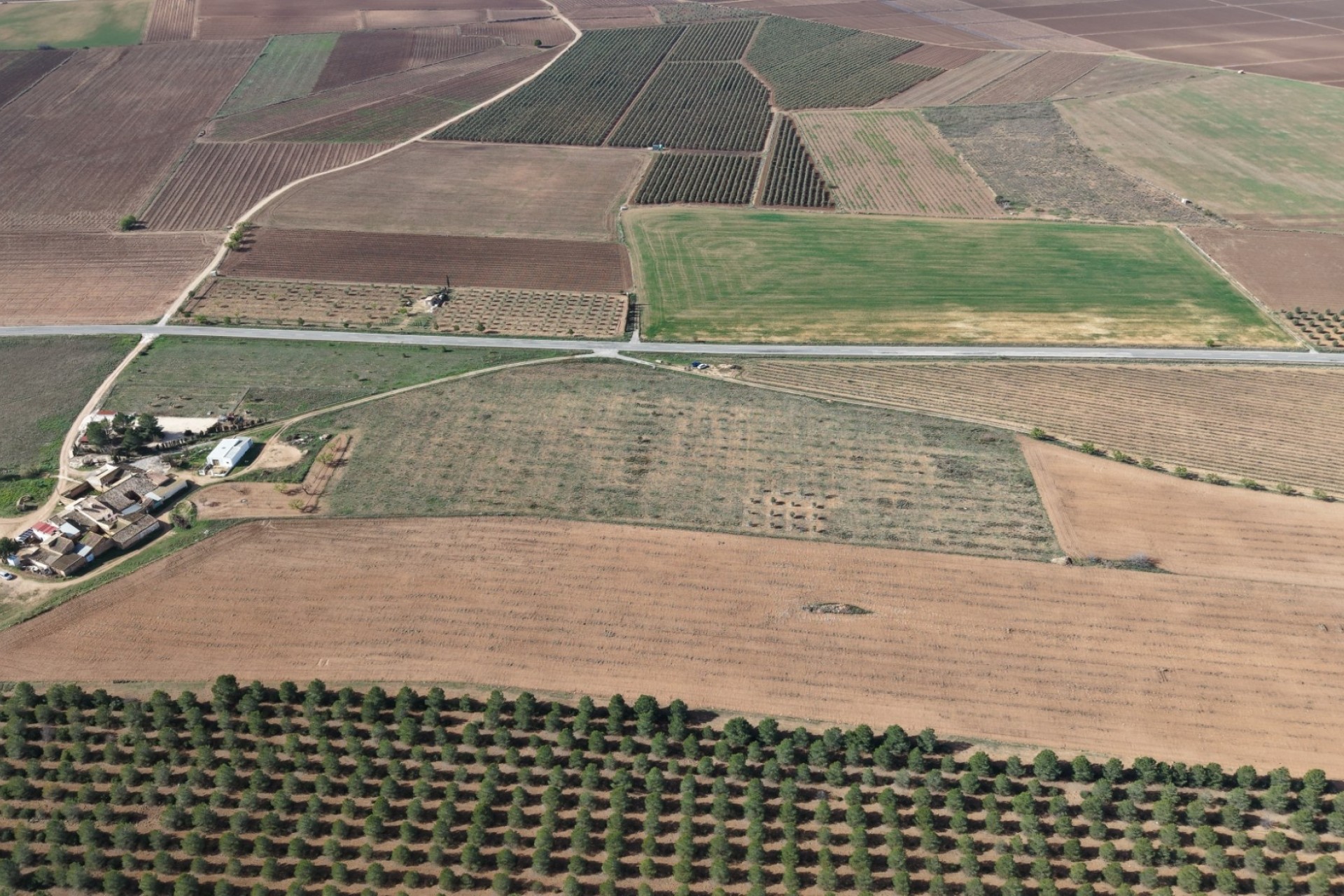 Sprzedaż - Działka / Grunt -
Yecla