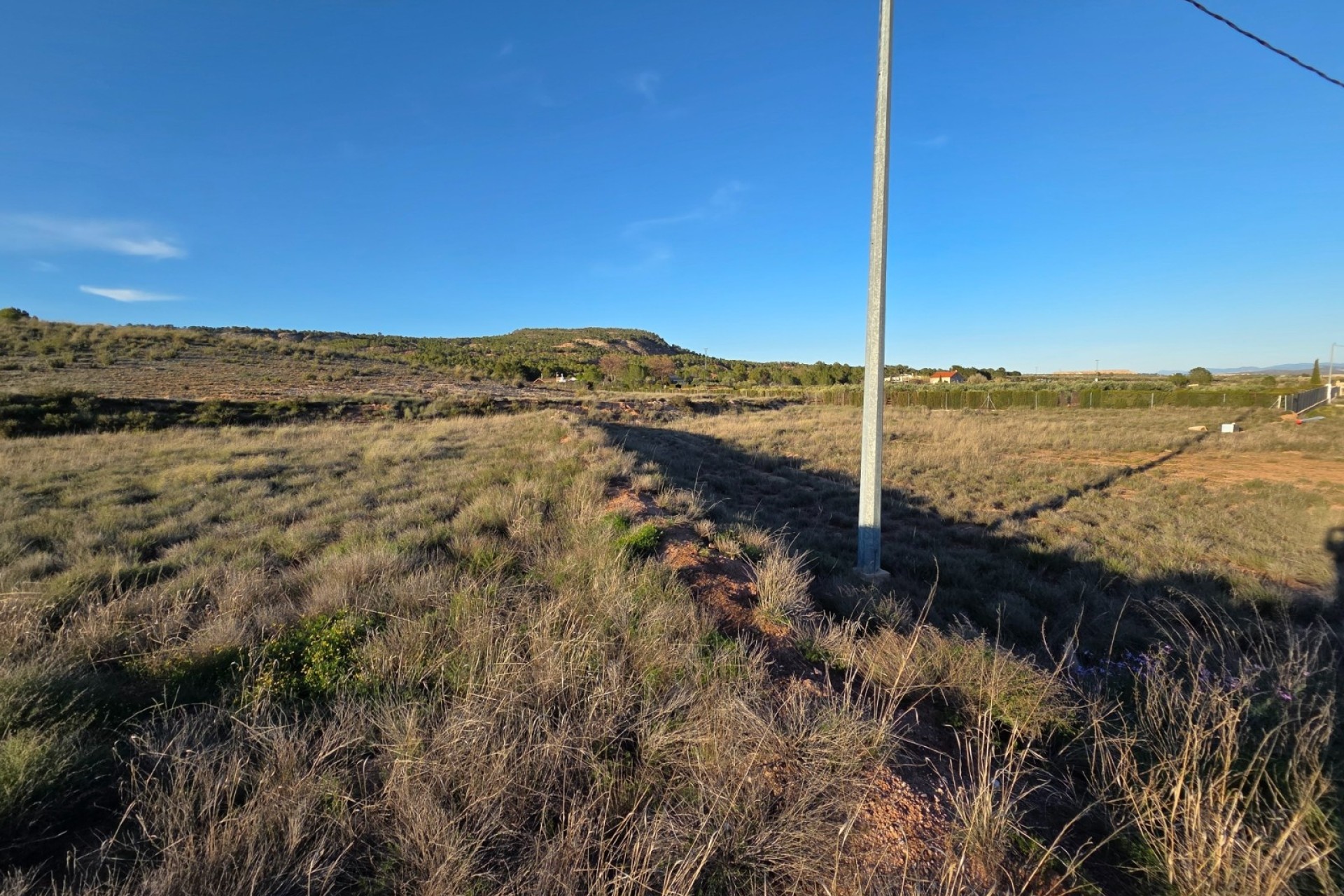 Sprzedaż - Działka / Grunt -
Yecla