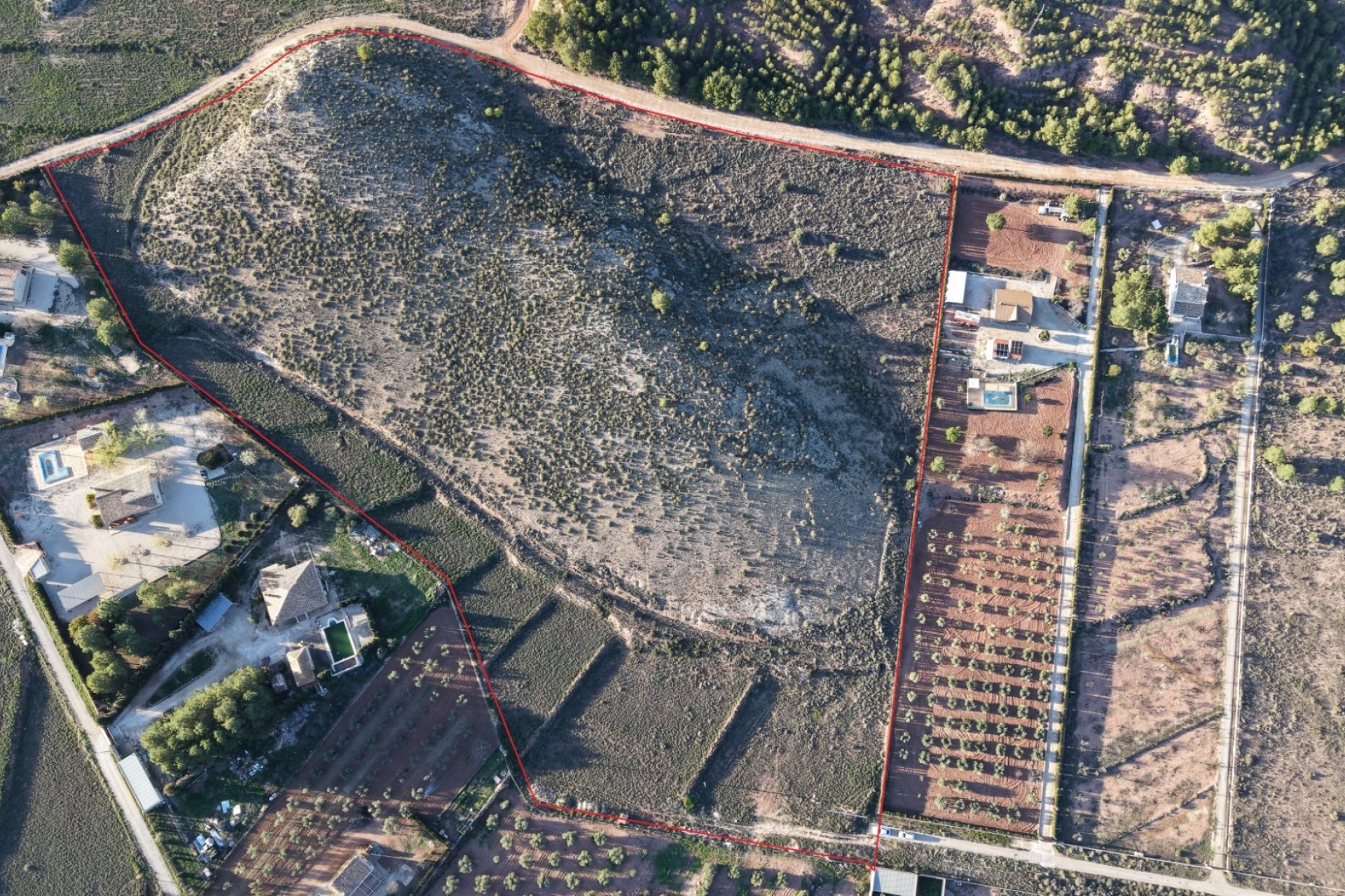 Sprzedaż - Działka / Grunt -
Yecla