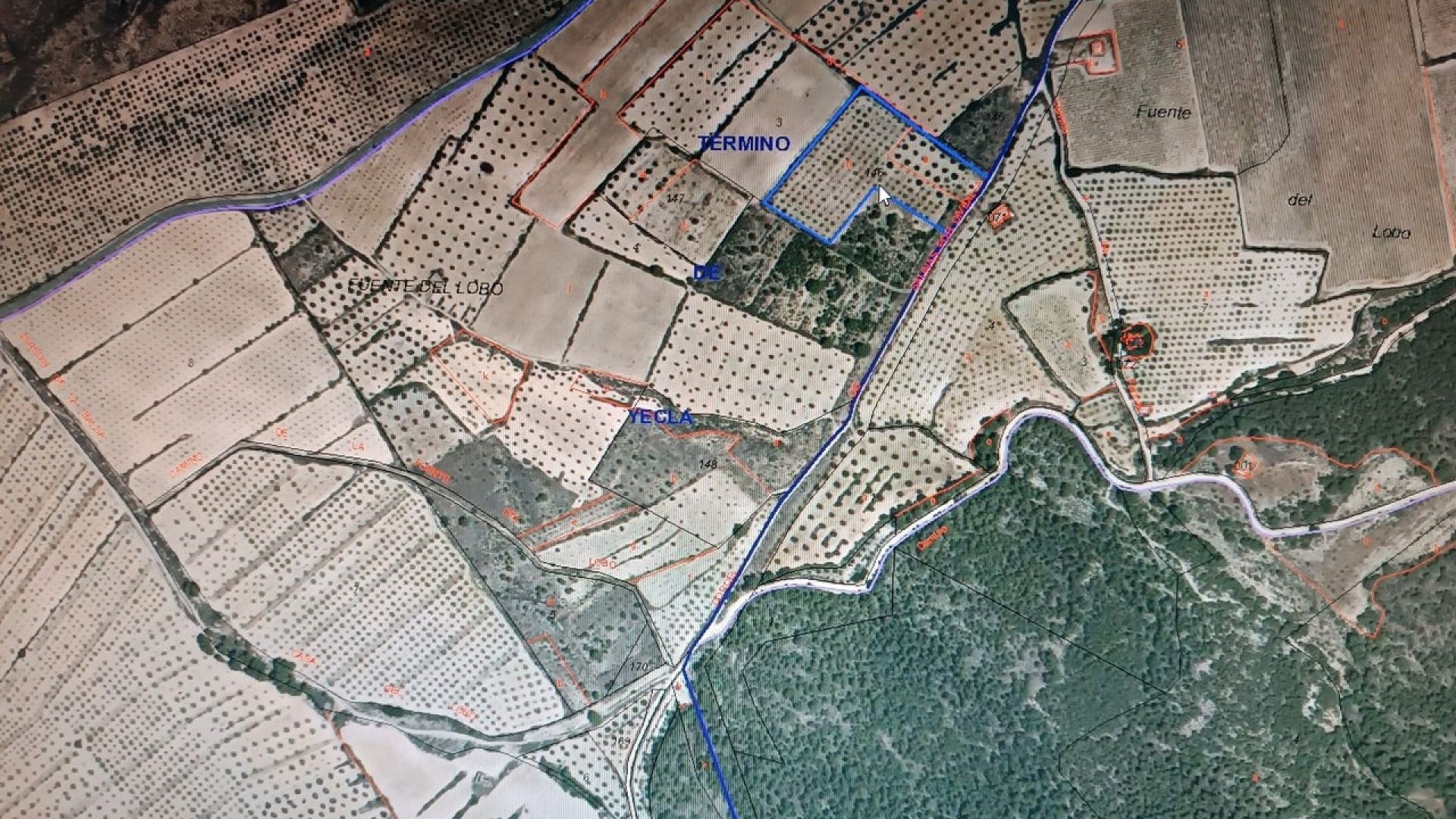 Sprzedaż - Działka Grunt -
Yecla