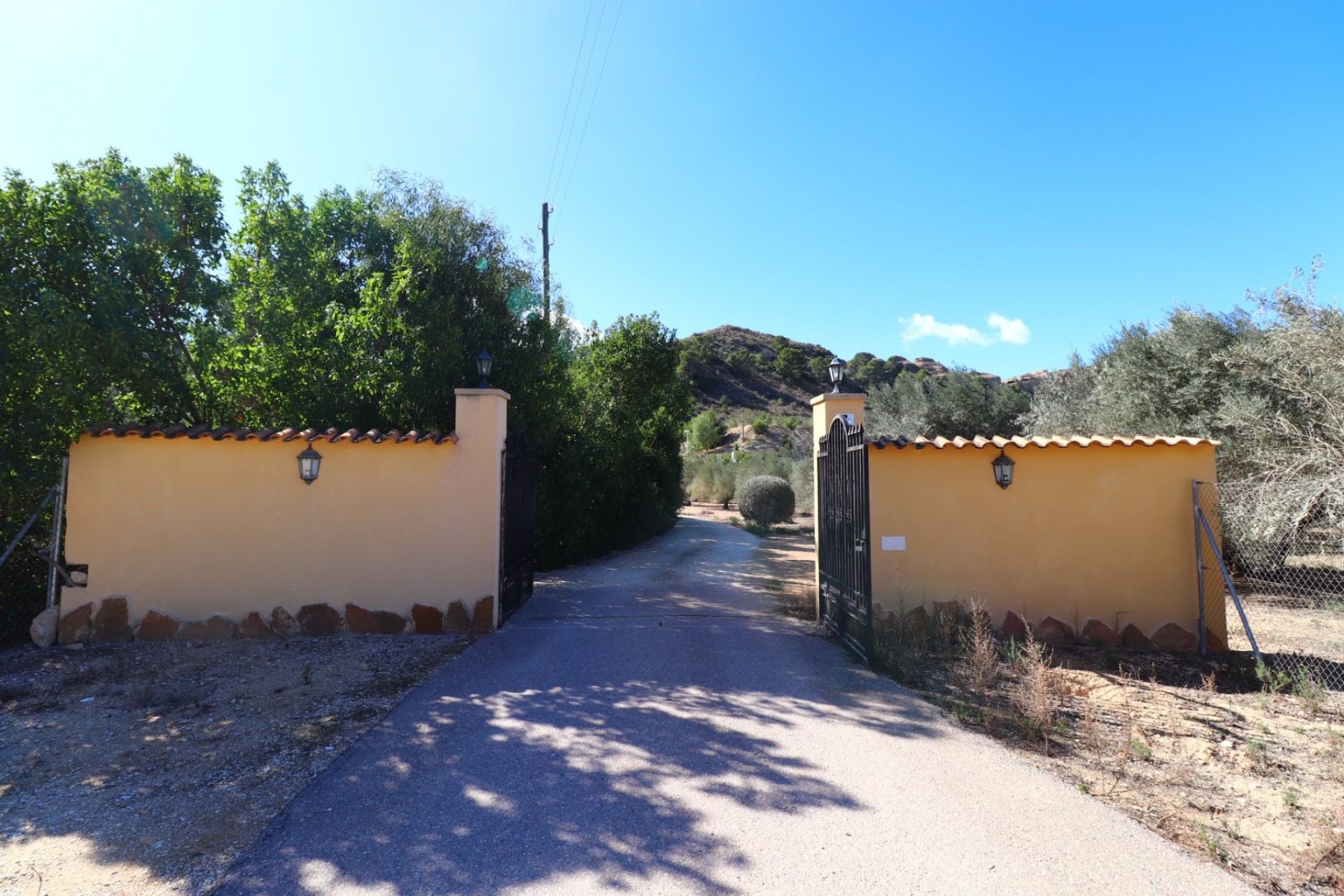 Sprzedaż - Finca / Dom wiejski -
Aspe - Aspe - Country