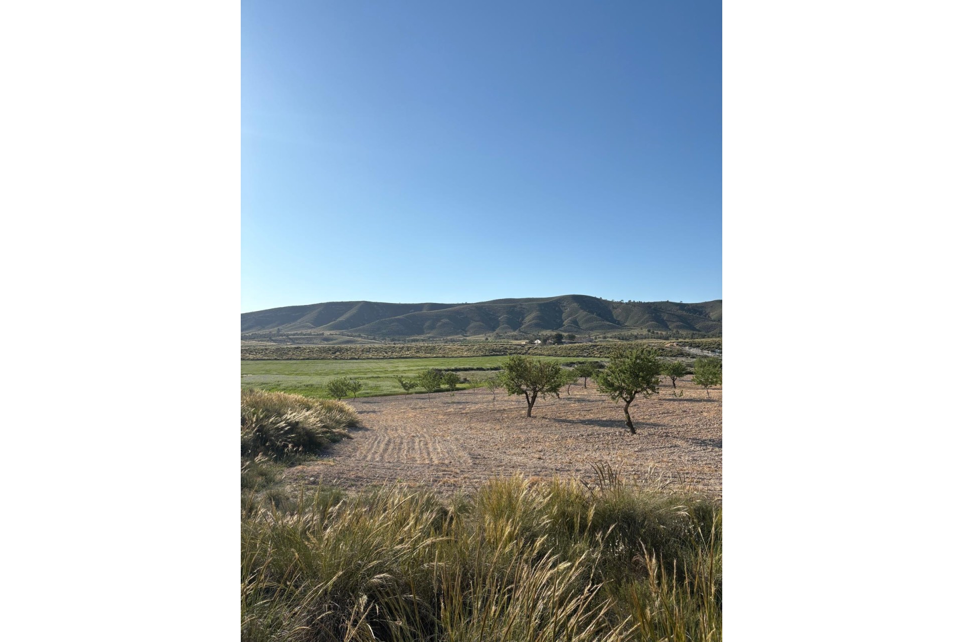 Sprzedaż - Finca / Dom wiejski -
Cañada del Trigo - Canada del Trigo Murcia