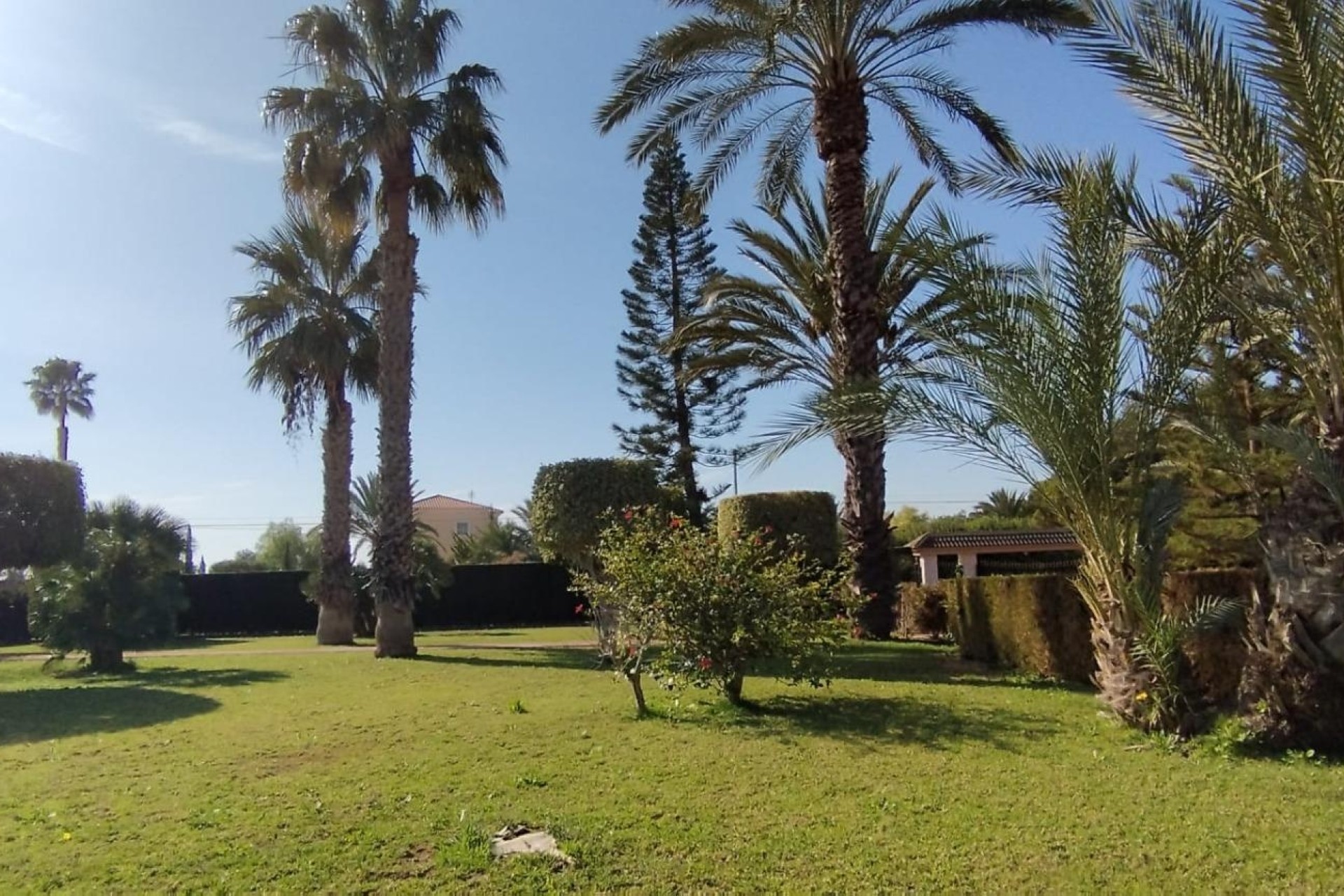 Sprzedaż - Finca / Dom wiejski -
Elche