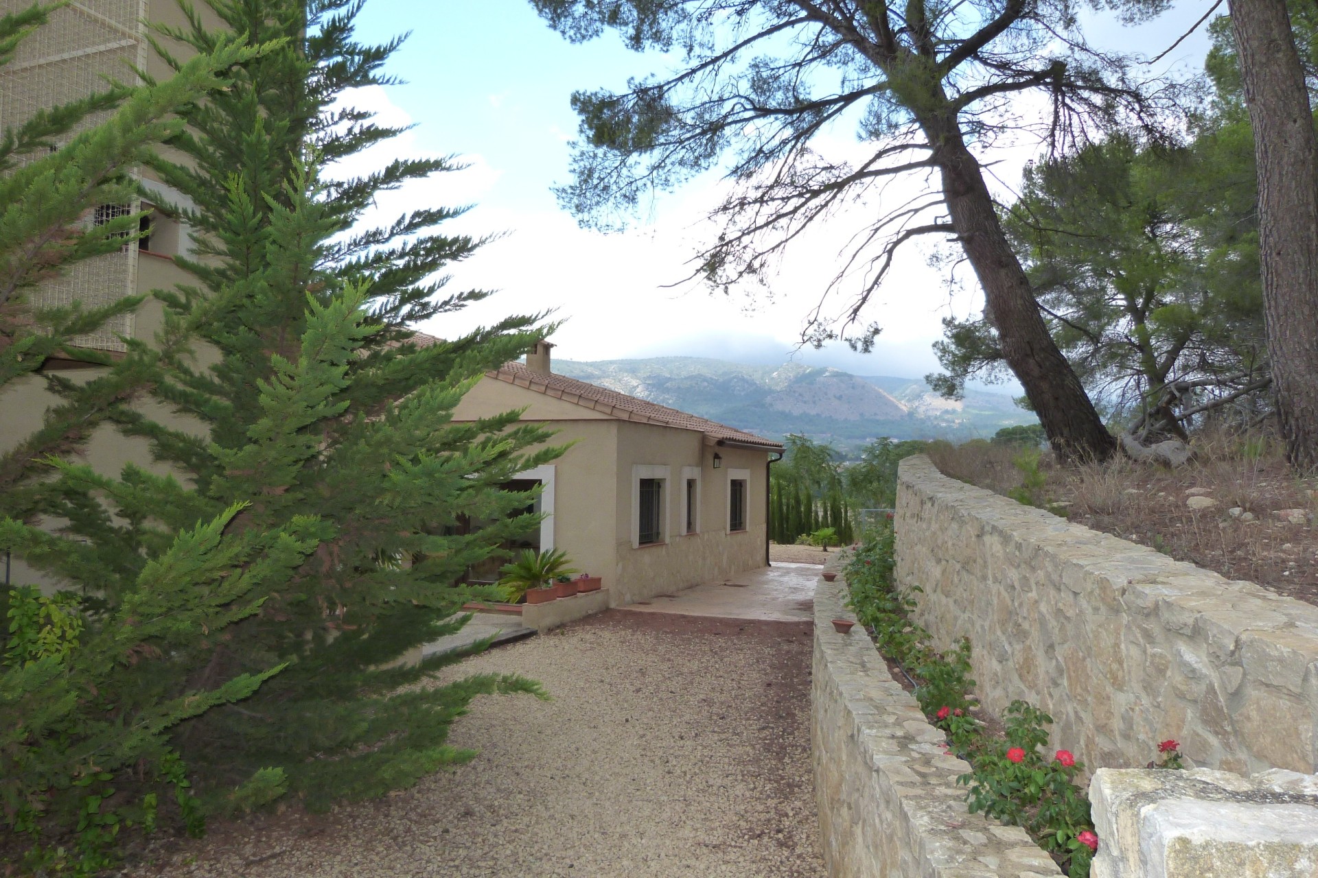 Sprzedaż - Finca / Dom wiejski -
Ibi - Ibi - Country